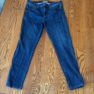 Loft Made With Love front Seam Modern Skinny Blue Women's Jeans NWOT Size 28